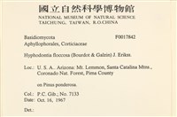 登錄號:F0017842藏品圖，第2張