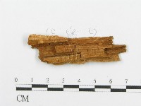 登錄號:F0017843藏品圖，第3張