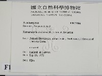 登錄號:F0017844藏品圖，第2張
