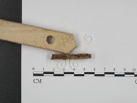 登錄號:F0017844藏品圖，第1張