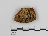登錄號:F0017846藏品圖，第3張
