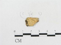 登錄號:F0017847藏品圖，第3張