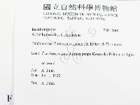 登錄號:F0017848藏品圖，第2張