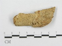 登錄號:F0017848藏品圖，第1張