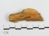 登錄號:F0017848藏品圖，第3張