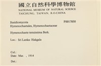 登錄號:F0017850藏品圖，第2張