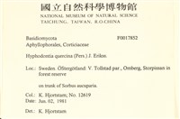 登錄號:F0017852藏品圖，第2張