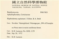 登錄號:F0017853藏品圖，第2張