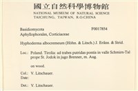 登錄號:F0017854藏品圖，第2張