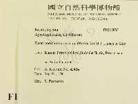 登錄號:F0017855藏品圖，第2張