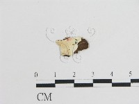 登錄號:F0017855藏品圖，第1張