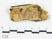 登錄號:F0017857藏品圖，第1張