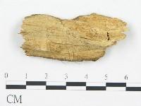 登錄號:F0017857藏品圖，第4張