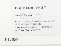 登錄號:F0017858藏品圖，第2張