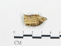 登錄號:F0017859藏品圖，第1張