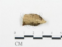 登錄號:F0017859藏品圖，第4張