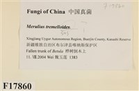 登錄號:F0017860藏品圖，第2張
