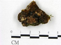 登錄號:F0017864藏品圖，第4張