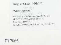 登錄號:F0017865藏品圖，第2張
