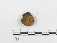 登錄號:F0017865藏品圖，第1張