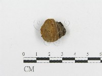 登錄號:F0017865藏品圖，第5張