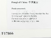 登錄號:F0017866藏品圖，第2張
