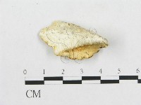 登錄號:F0017866藏品圖，第1張
