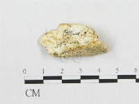 登錄號:F0017866藏品圖，第4張