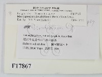 登錄號:F0017867藏品圖，第2張