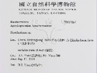 登錄號:F0017867藏品圖，第3張