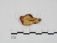 登錄號:F0017867藏品圖，第4張