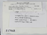 登錄號:F0017868藏品圖，第2張