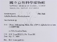 登錄號:F0017868藏品圖，第3張
