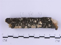 登錄號:F0017868藏品圖，第4張