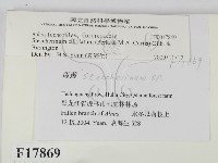 登錄號:F0017869藏品圖，第2張