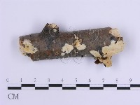 登錄號:F0017869藏品圖，第1張