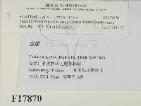 登錄號:F0017870藏品圖，第2張