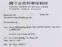 登錄號:F0017870藏品圖，第3張