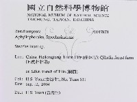 登錄號:F0017871藏品圖，第3張