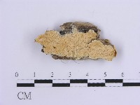 登錄號:F0017871藏品圖，第1張