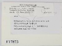 登錄號:F0017873藏品圖，第2張