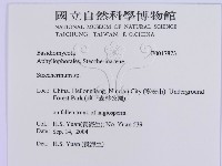 登錄號:F0017873藏品圖，第3張