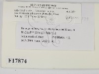 登錄號:F0017874藏品圖，第2張