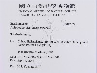 登錄號:F0017874藏品圖，第3張