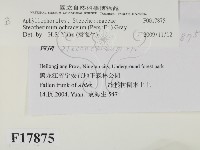 登錄號:F0017875藏品圖，第2張