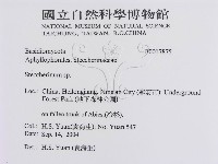 登錄號:F0017875藏品圖，第3張