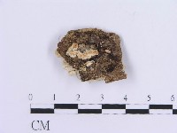登錄號:F0017875藏品圖，第1張
