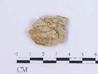 登錄號:F0017875藏品圖，第4張