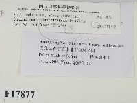 登錄號:F0017877藏品圖，第2張