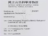 登錄號:F0017877藏品圖，第3張